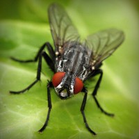 /album/denverping4/photolia-a01-jpg/