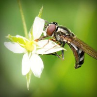 /album/denverping4/photolia-a02-jpg/