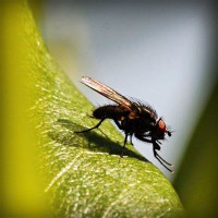 /album/denverping4/photolia-a04-jpg/