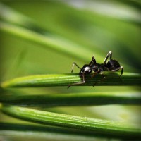 /album/denverping4/photolia-a05-jpg/