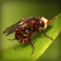 /album/denverping4/photolia-a06-jpg/