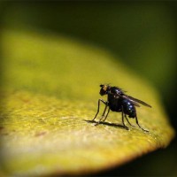 /album/denverping4/photolia-a07-jpg/